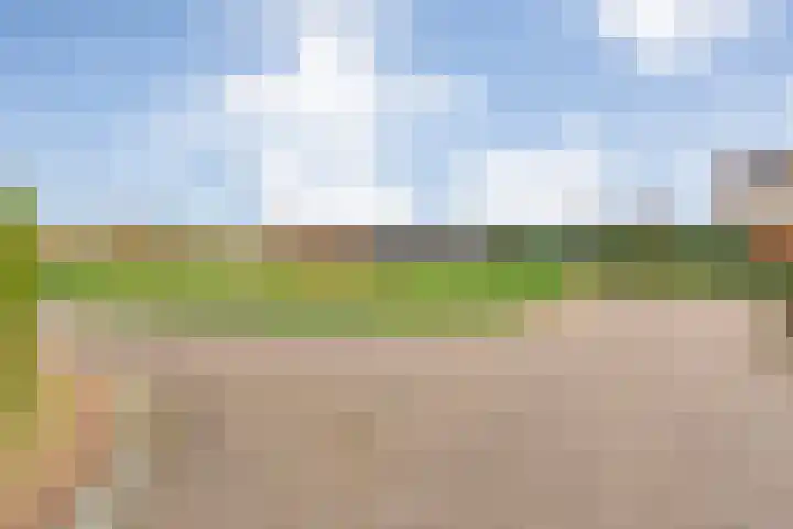Leen Heskampstraat 3 Coevorden thumbnail 43