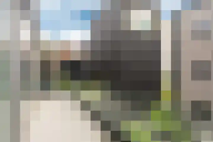 Leen Jongewaardkade 11 Amsterdam thumbnail 15