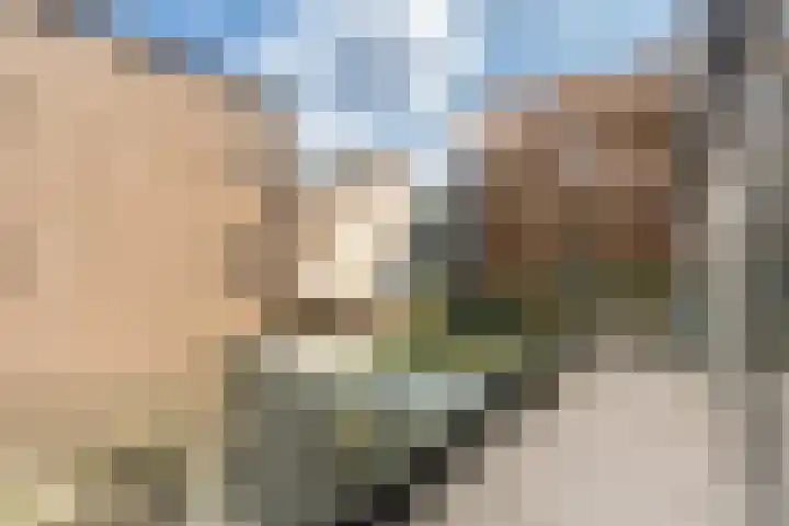 Leen Jongewaardkade 11 Amsterdam thumbnail 5