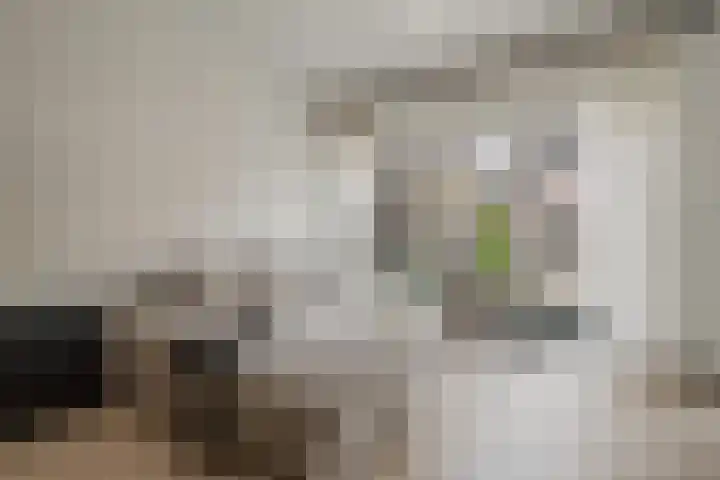 Leen Jongewaardkade 11 Amsterdam thumbnail 6
