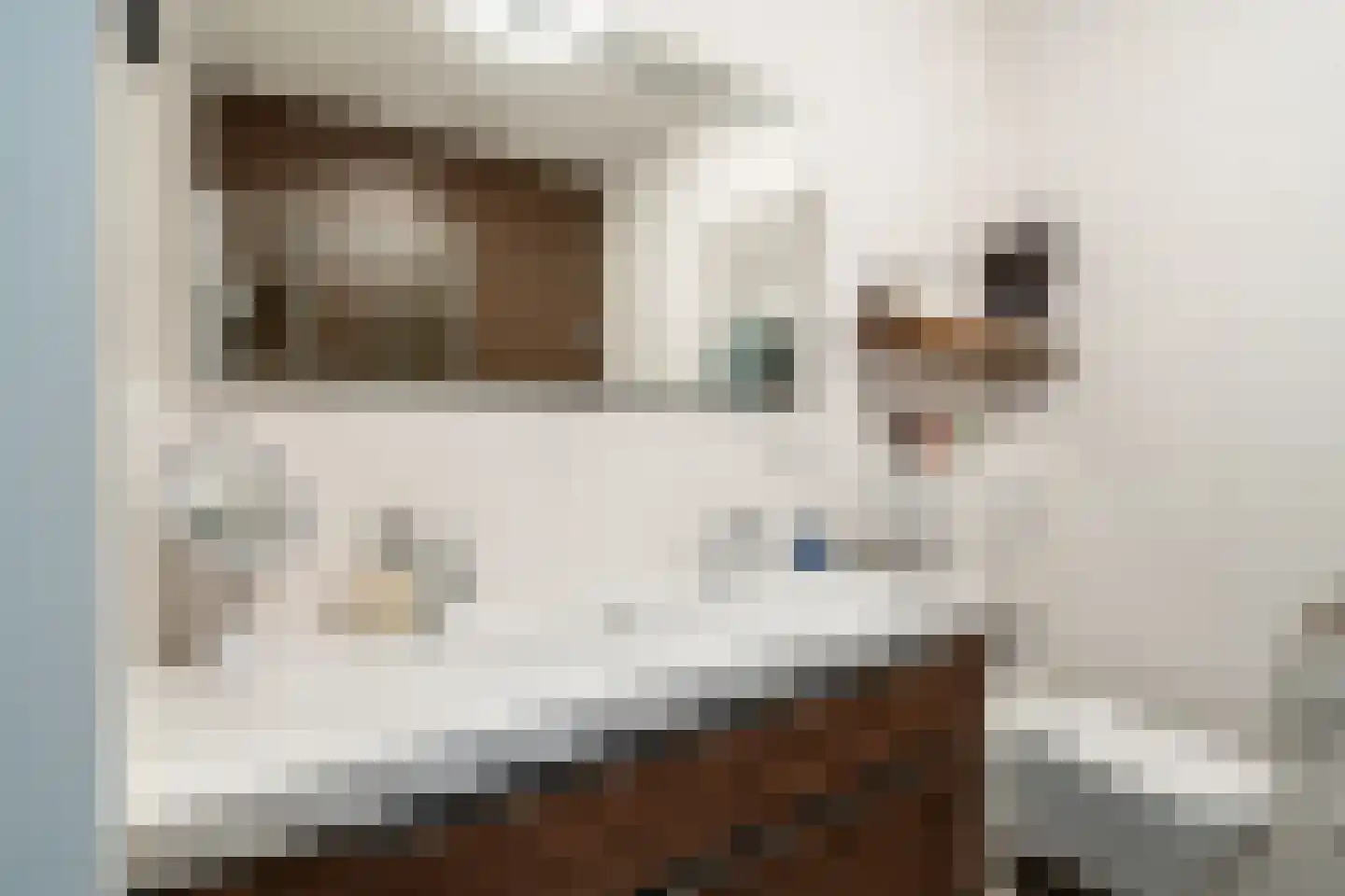 Leen Jongewaardkade 17 Amsterdam thumbnail 25