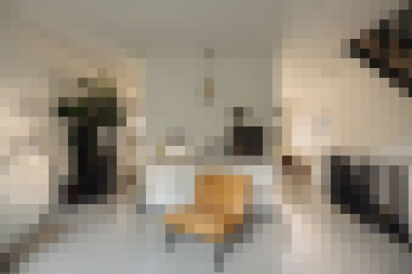 Leen Jongewaardkade 3 Amsterdam thumbnail 18