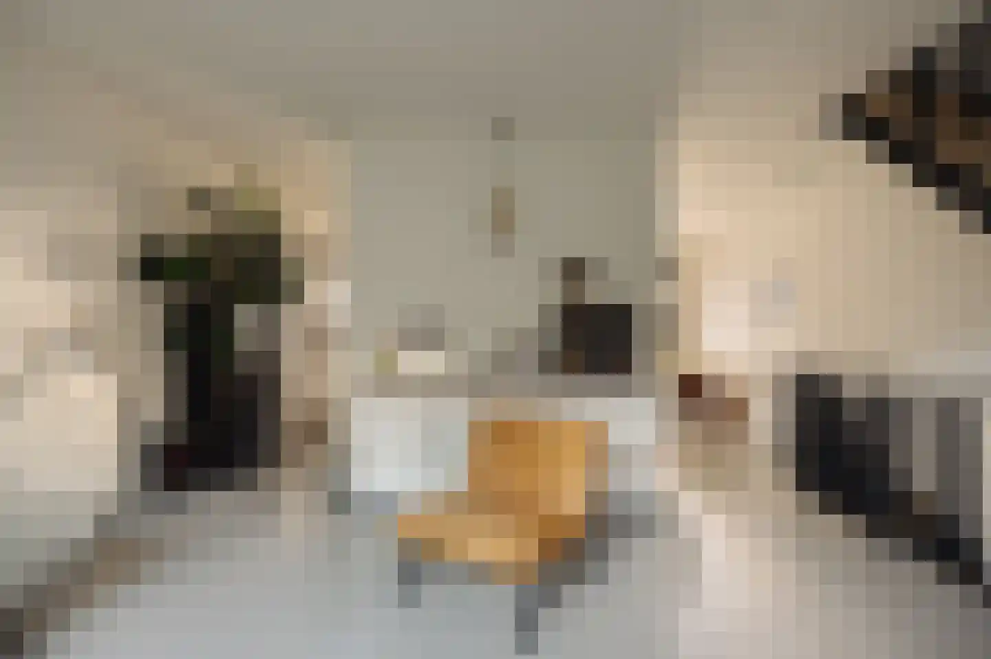 Leen Jongewaardkade 3 Amsterdam thumbnail 18