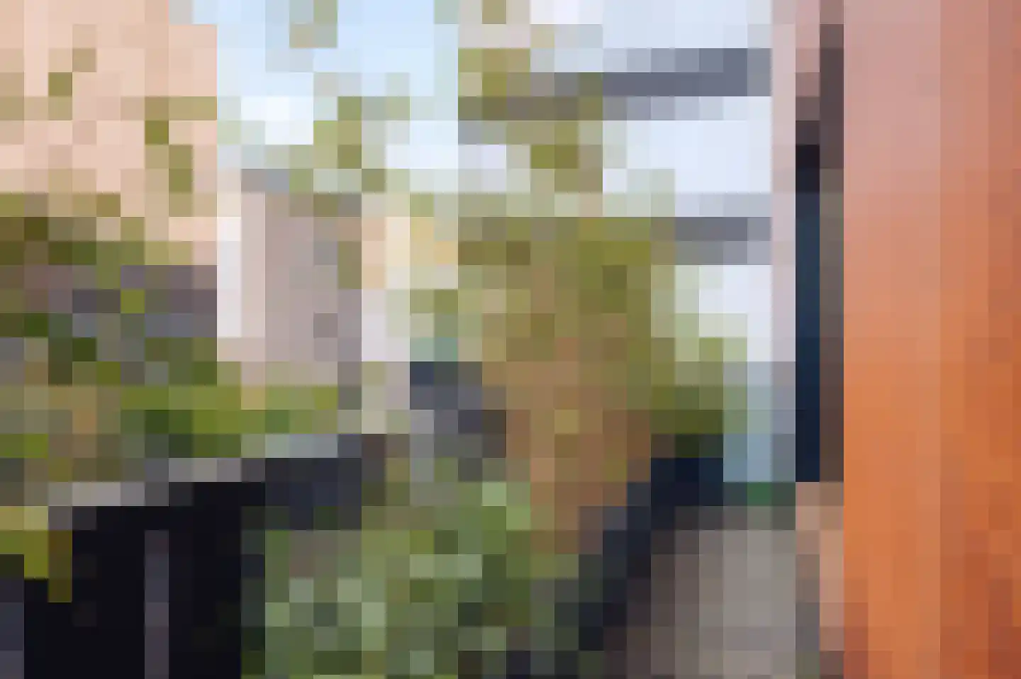 Leen Jongewaardkade 3 Amsterdam thumbnail 23