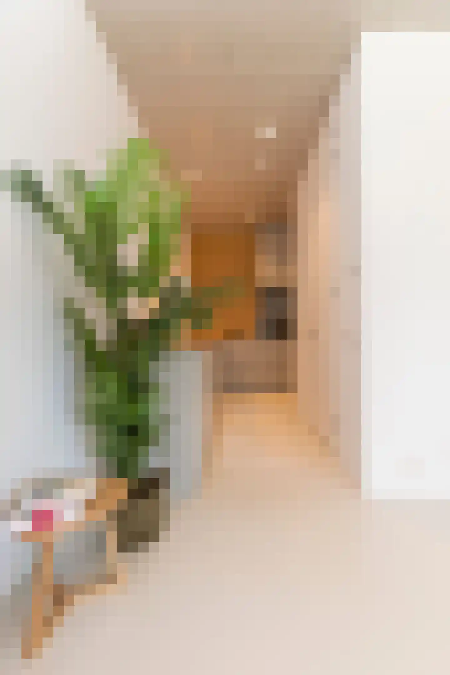 Leen Jongewaardkade 5 B Amsterdam thumbnail 21