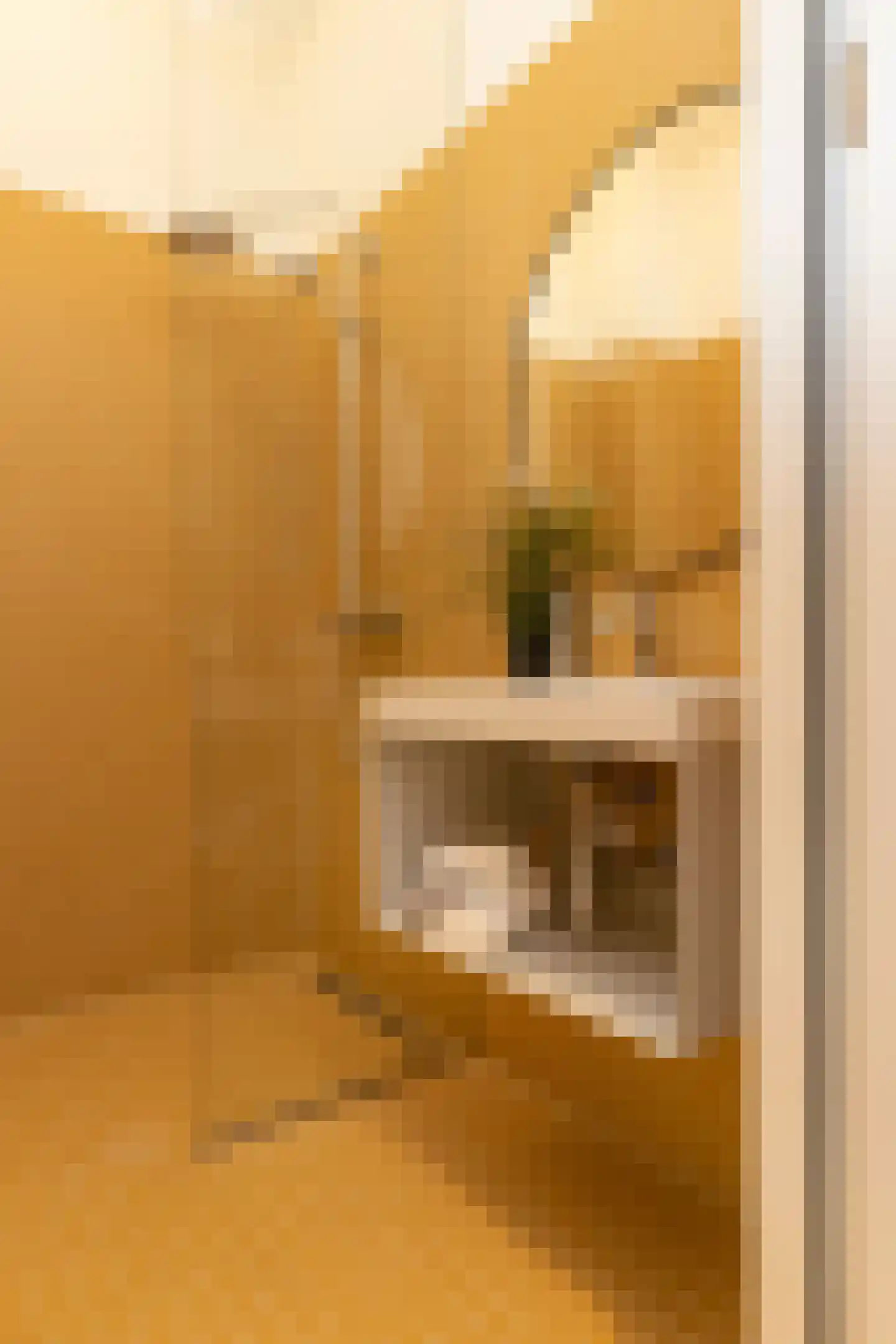 Leen Jongewaardkade 5 B Amsterdam thumbnail 23