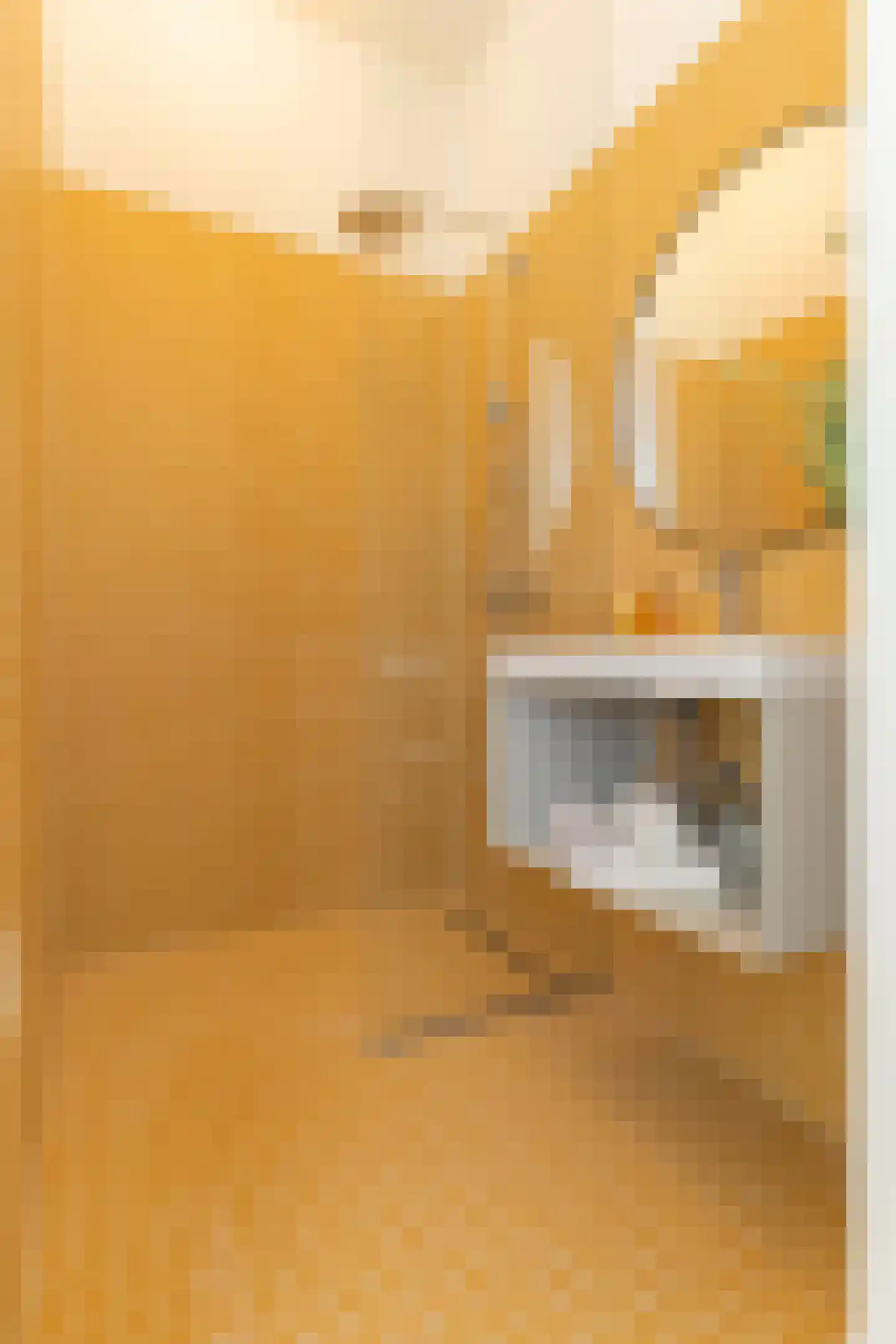 Leen Jongewaardkade 5 B Amsterdam thumbnail 37
