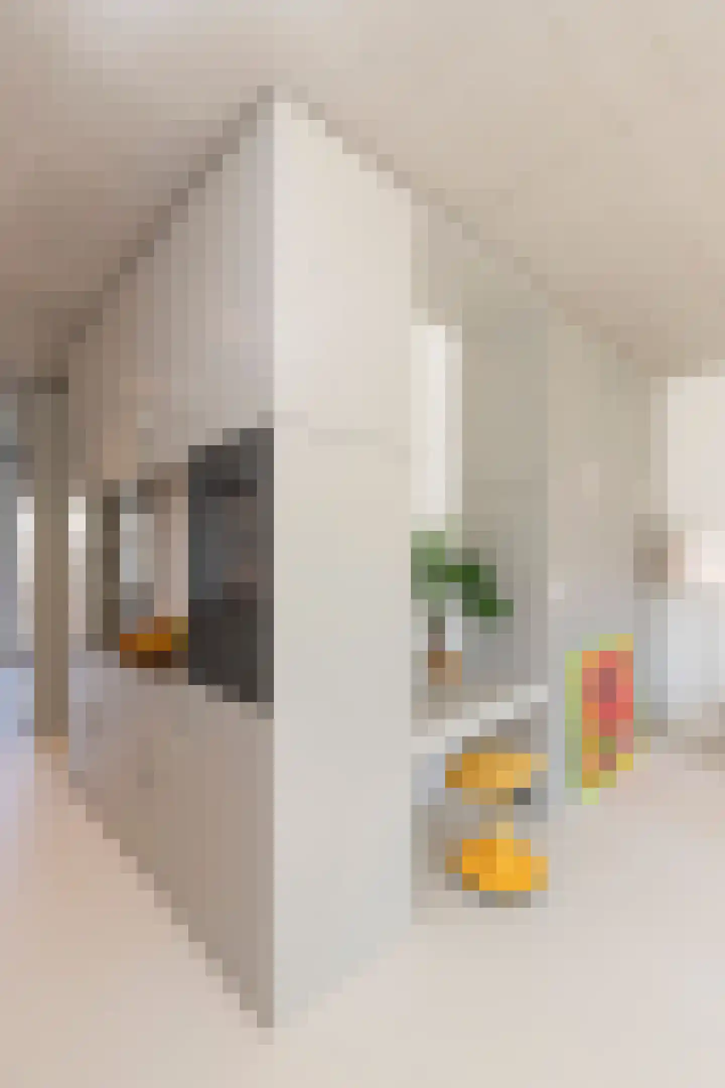 Leen Jongewaardkade 5 B Amsterdam thumbnail 63