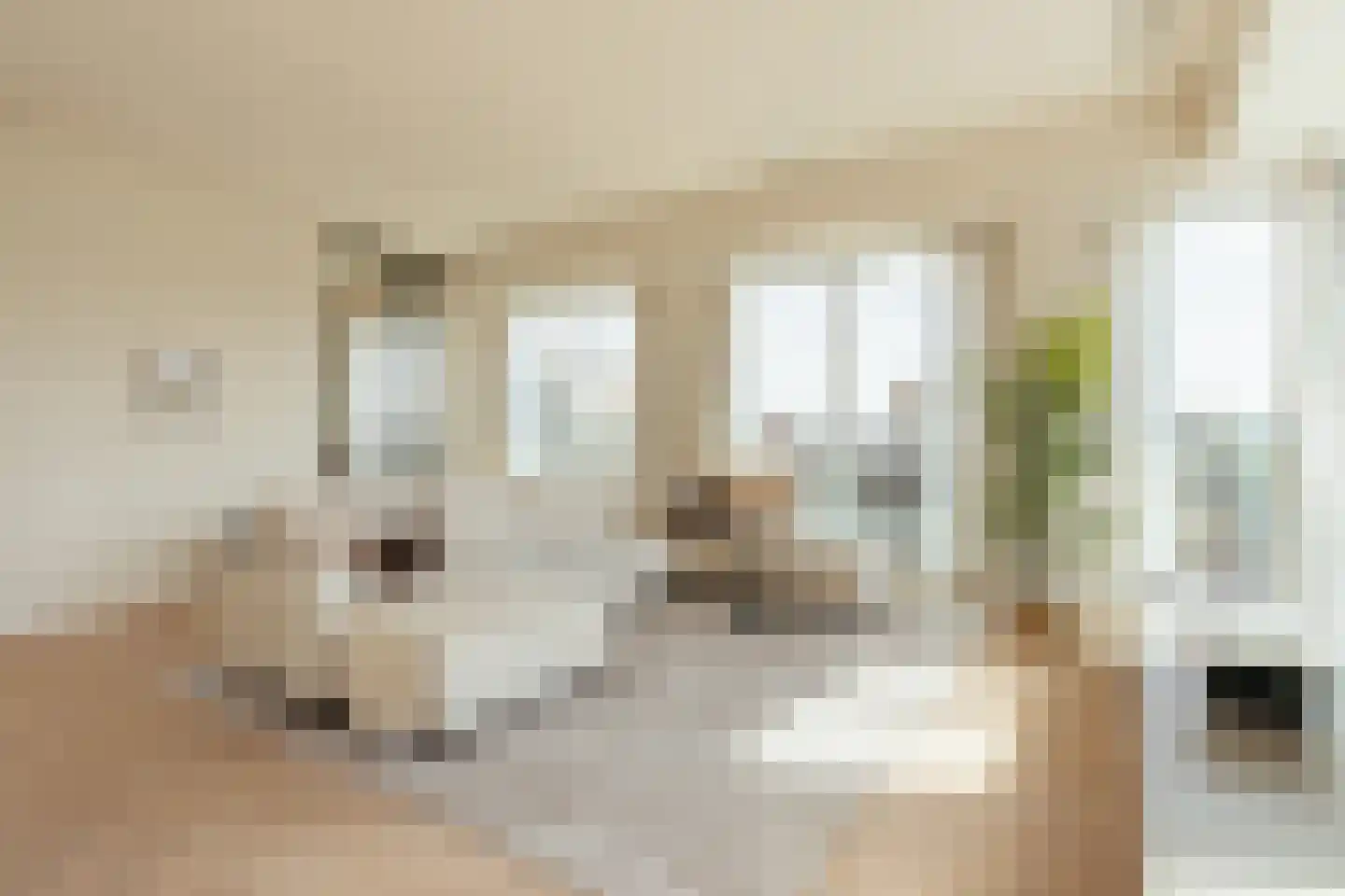 Leen Jongewaardkade 65 Amsterdam thumbnail 10