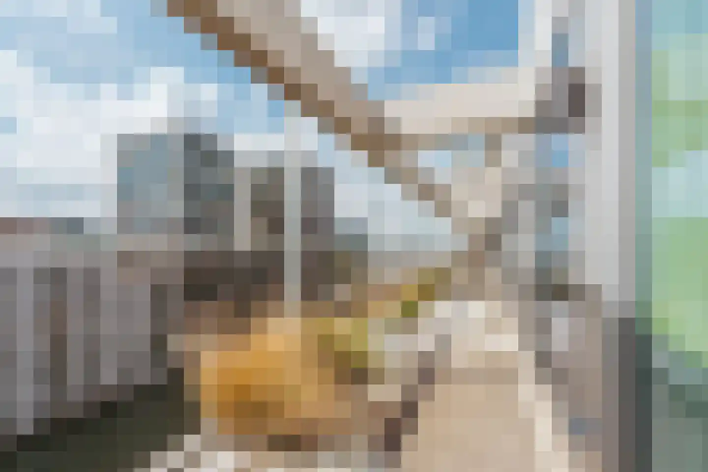 Leen Jongewaardkade 65 Amsterdam thumbnail 15