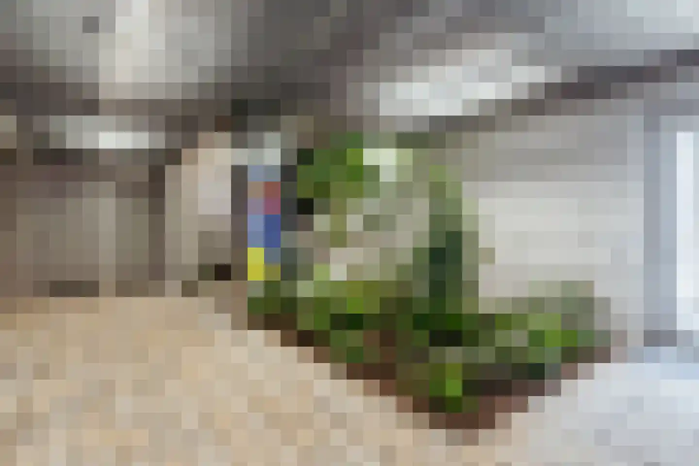Leen Jongewaardkade 65 Amsterdam thumbnail 37