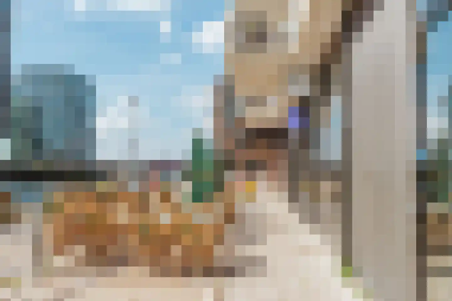 Leen Jongewaardkade 65 Amsterdam thumbnail 41