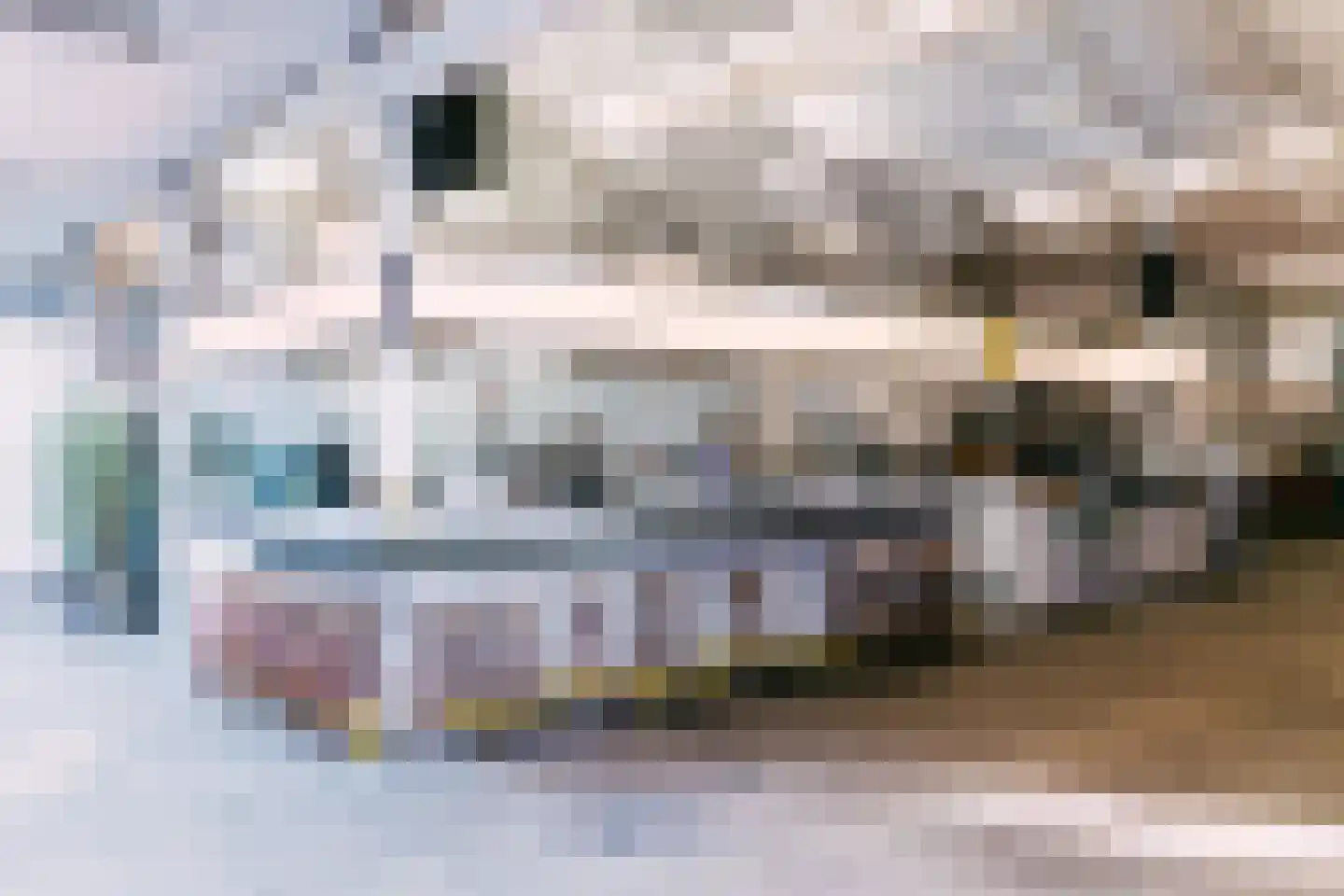 Leen Jongewaardkade 65 Amsterdam thumbnail 45