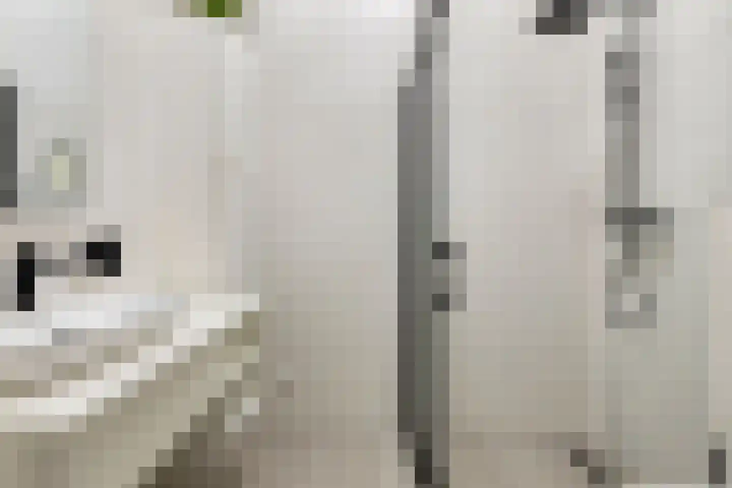 Leen Jongewaardkade 7 Amsterdam thumbnail 31