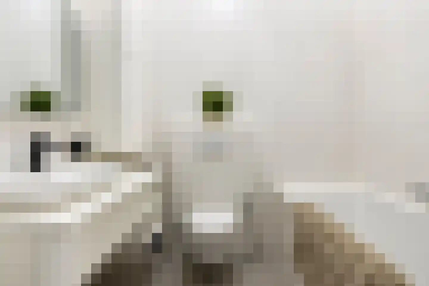 Leen Jongewaardkade 7 Amsterdam thumbnail 33