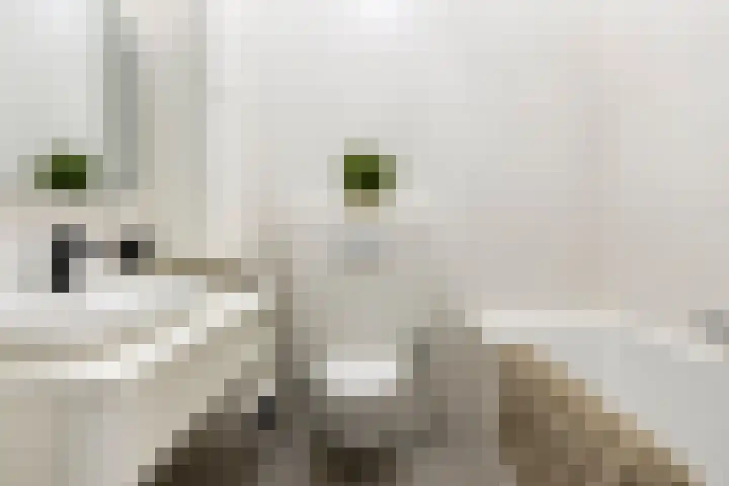 Leen Jongewaardkade 7 Amsterdam thumbnail 33