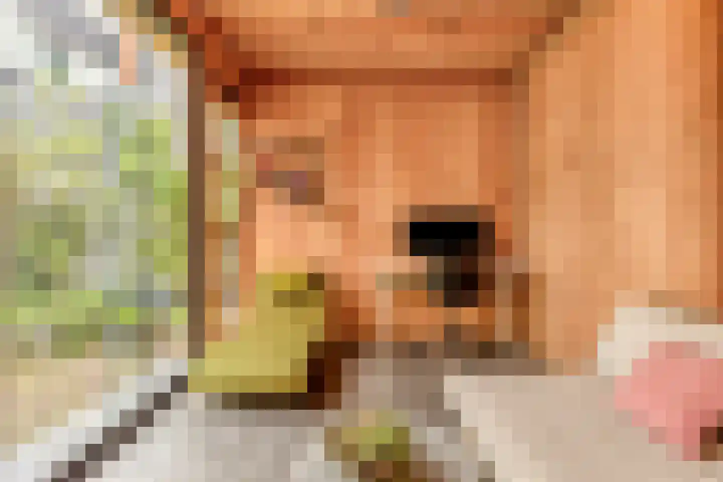 Leen Jongewaardkade 7 Amsterdam thumbnail 37