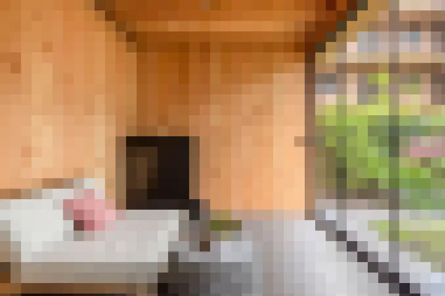 Leen Jongewaardkade 7 Amsterdam thumbnail 38