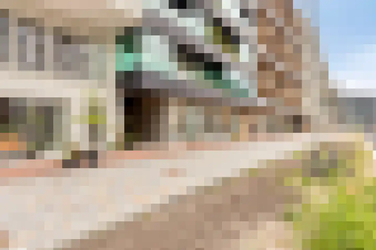 Leen Jongewaardkade 7 Amsterdam thumbnail 4