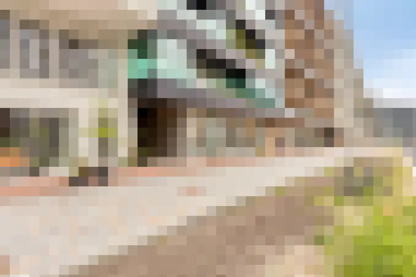 Leen Jongewaardkade 7 Amsterdam thumbnail 5