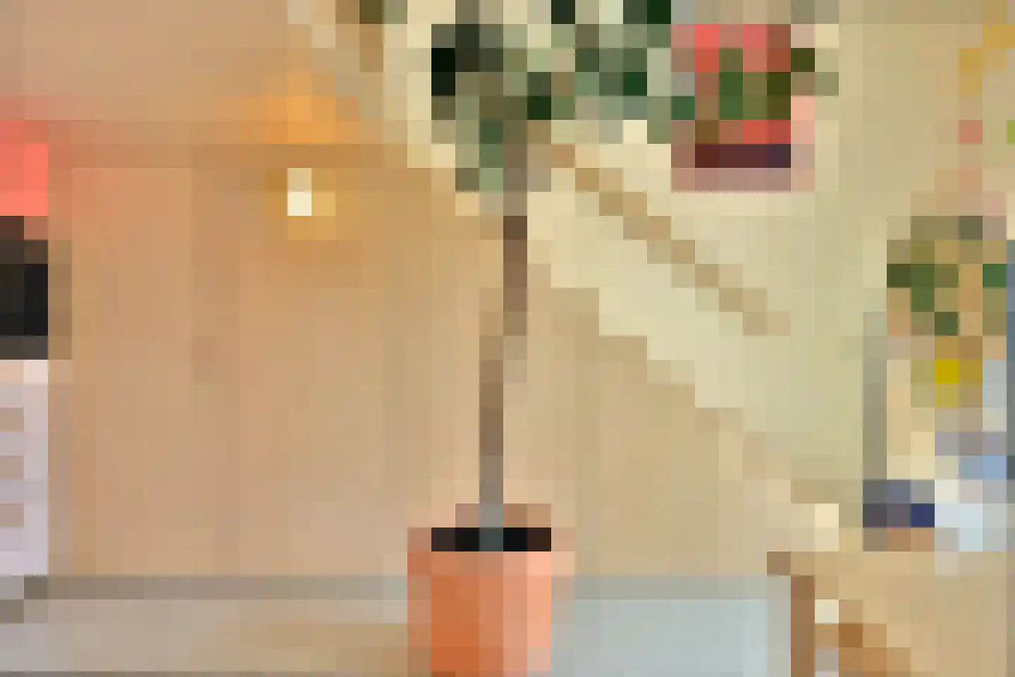Leen Jongewaardkade 95 Amsterdam thumbnail 18