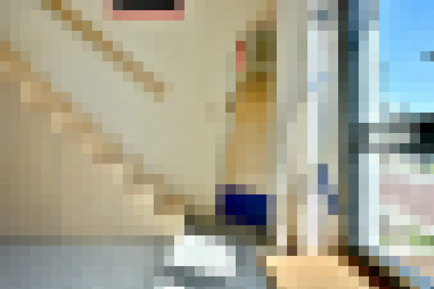 Leen Jongewaardkade 95 Amsterdam thumbnail 20