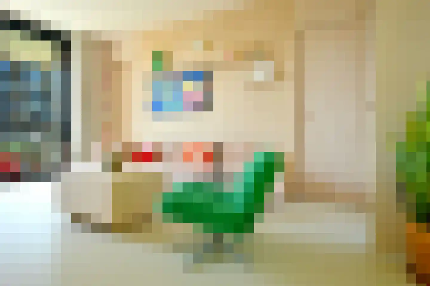 Leen Jongewaardkade 95 Amsterdam thumbnail 33