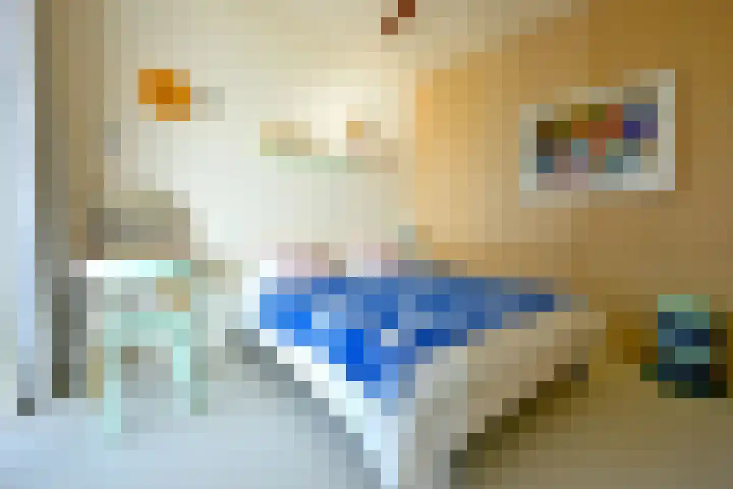 Leen Jongewaardkade 95 Amsterdam thumbnail 46