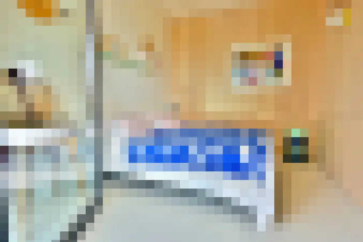 Leen Jongewaardkade 95 Amsterdam thumbnail 49