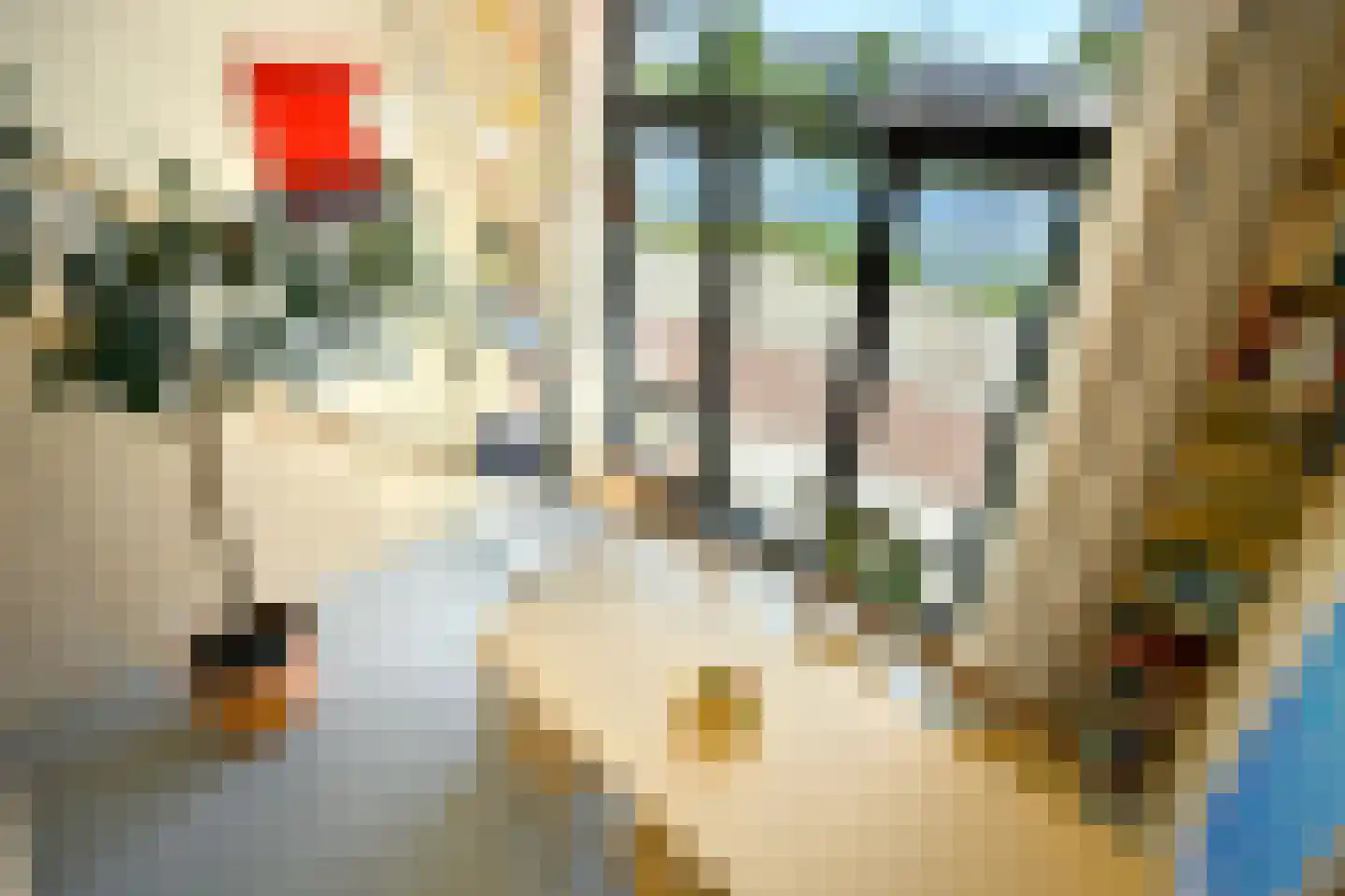 Leen Jongewaardkade 95 Amsterdam thumbnail 5