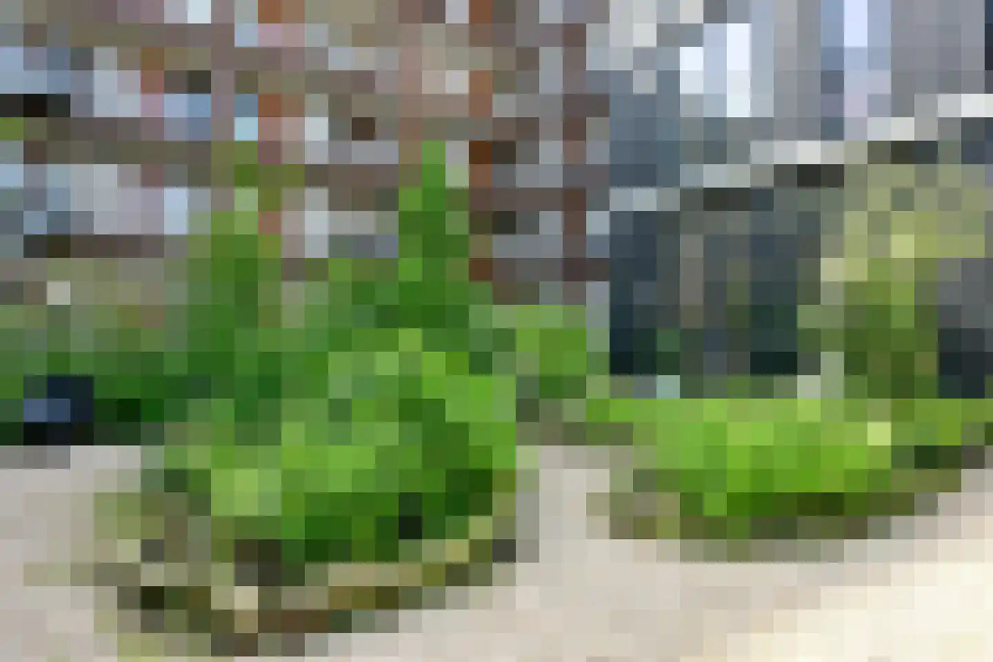 Leen Jongewaardkade 95 Amsterdam thumbnail 52