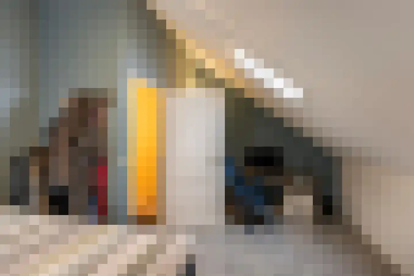 Leen van der Houwenstraat 38 Hoek van Holland thumbnail 27