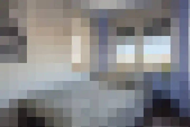 Leen van der Houwenstraat 66 Hoek van Holland thumbnail 31