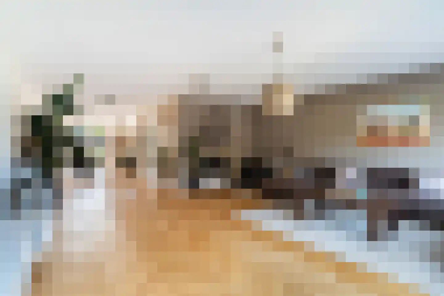 Leen Zwinkelshof 2 Wateringen thumbnail 14