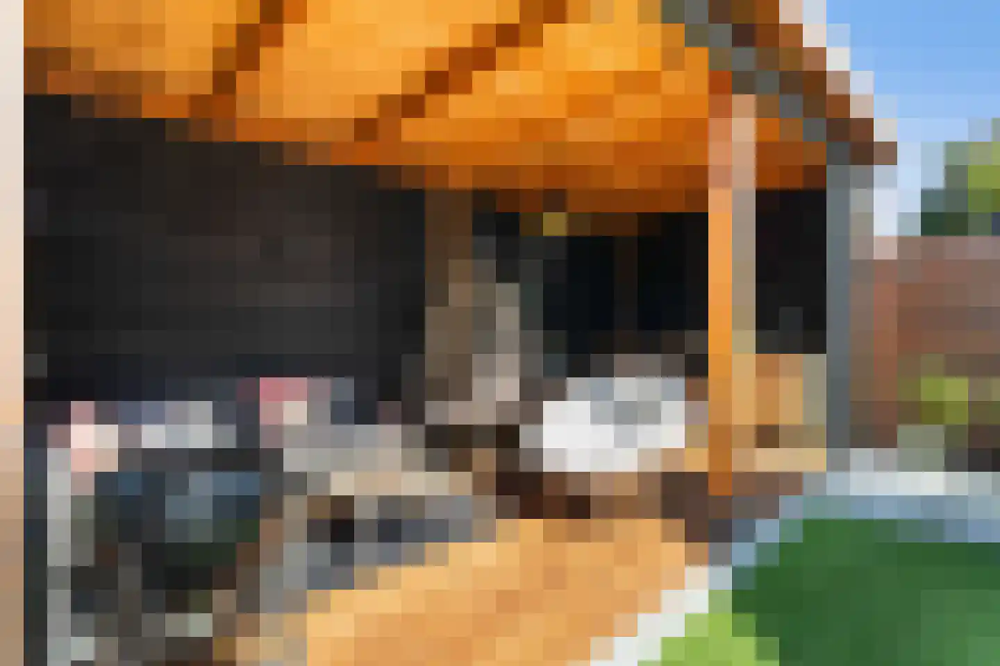 Leen Zwinkelshof 2 Wateringen thumbnail 18