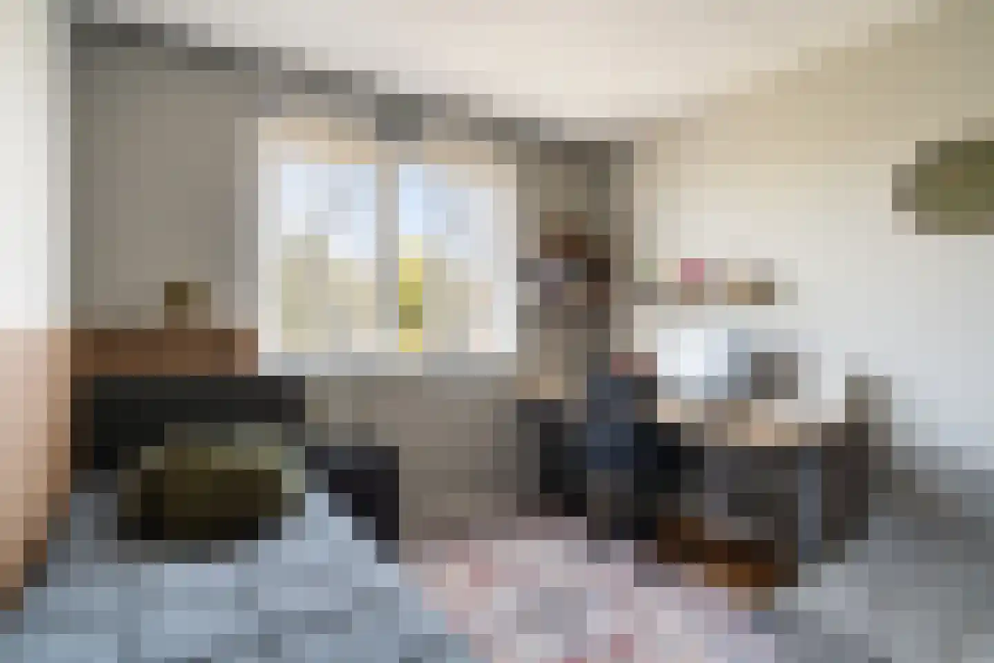 Leen Zwinkelshof 2 Wateringen thumbnail 30