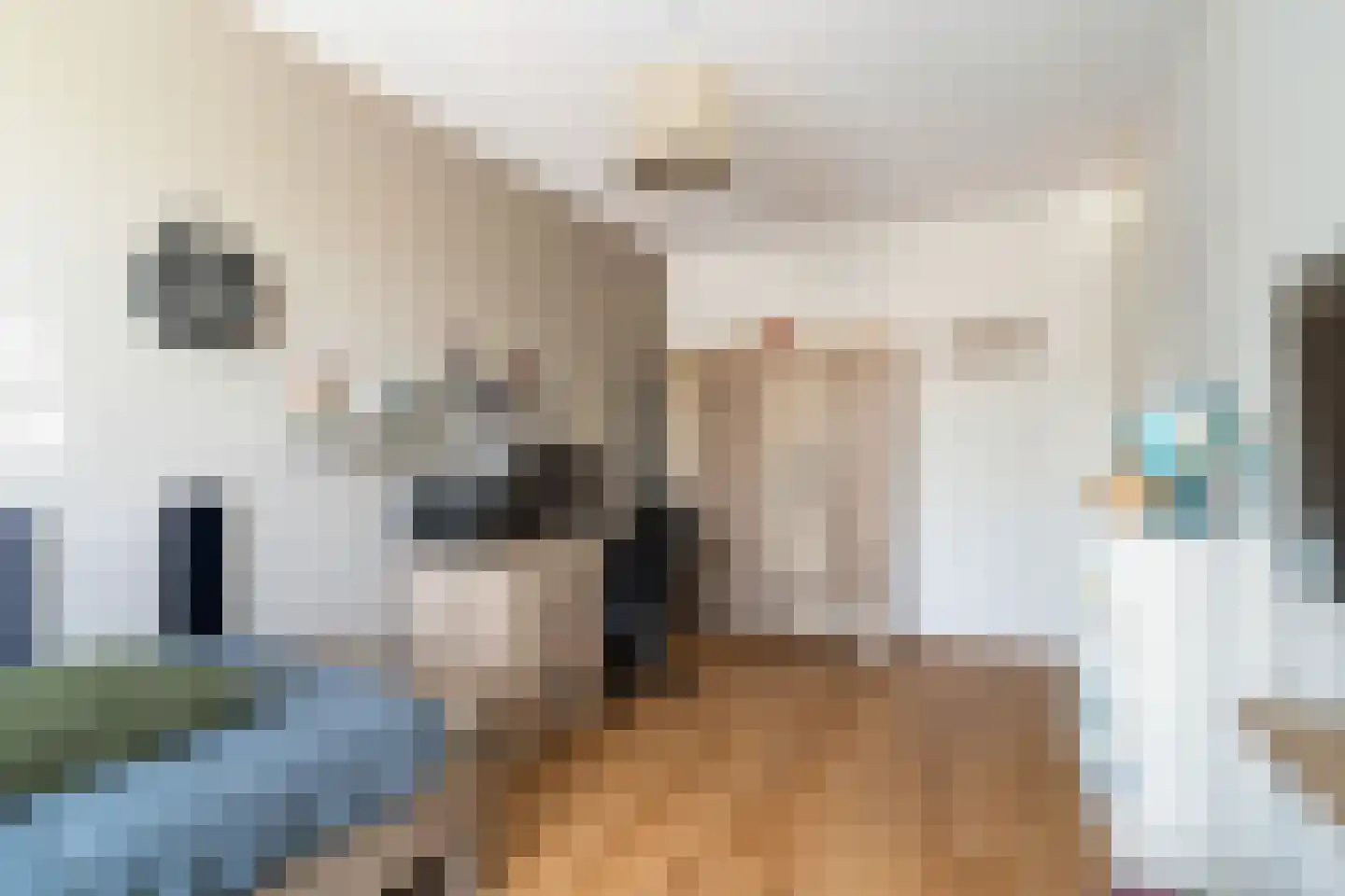 Leen Zwinkelshof 2 Wateringen thumbnail 34