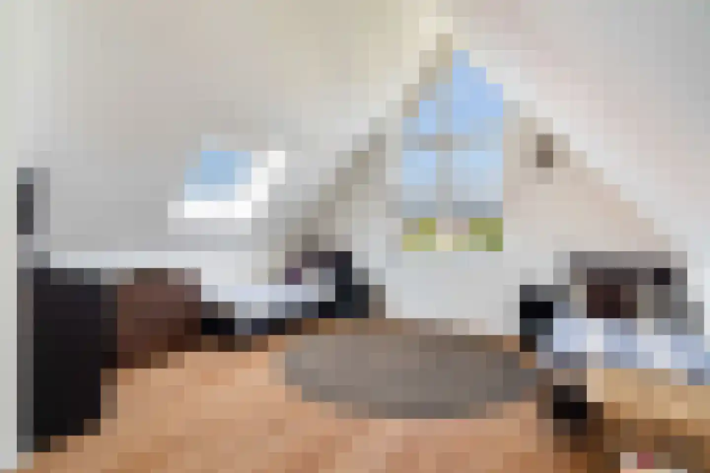 Leen Zwinkelshof 2 Wateringen thumbnail 40