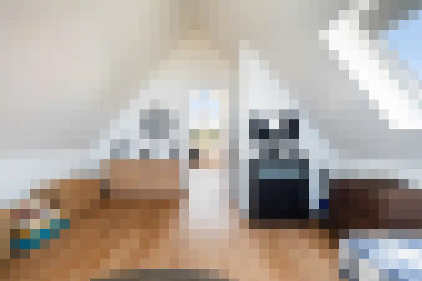 Leen Zwinkelshof 2 Wateringen thumbnail 41