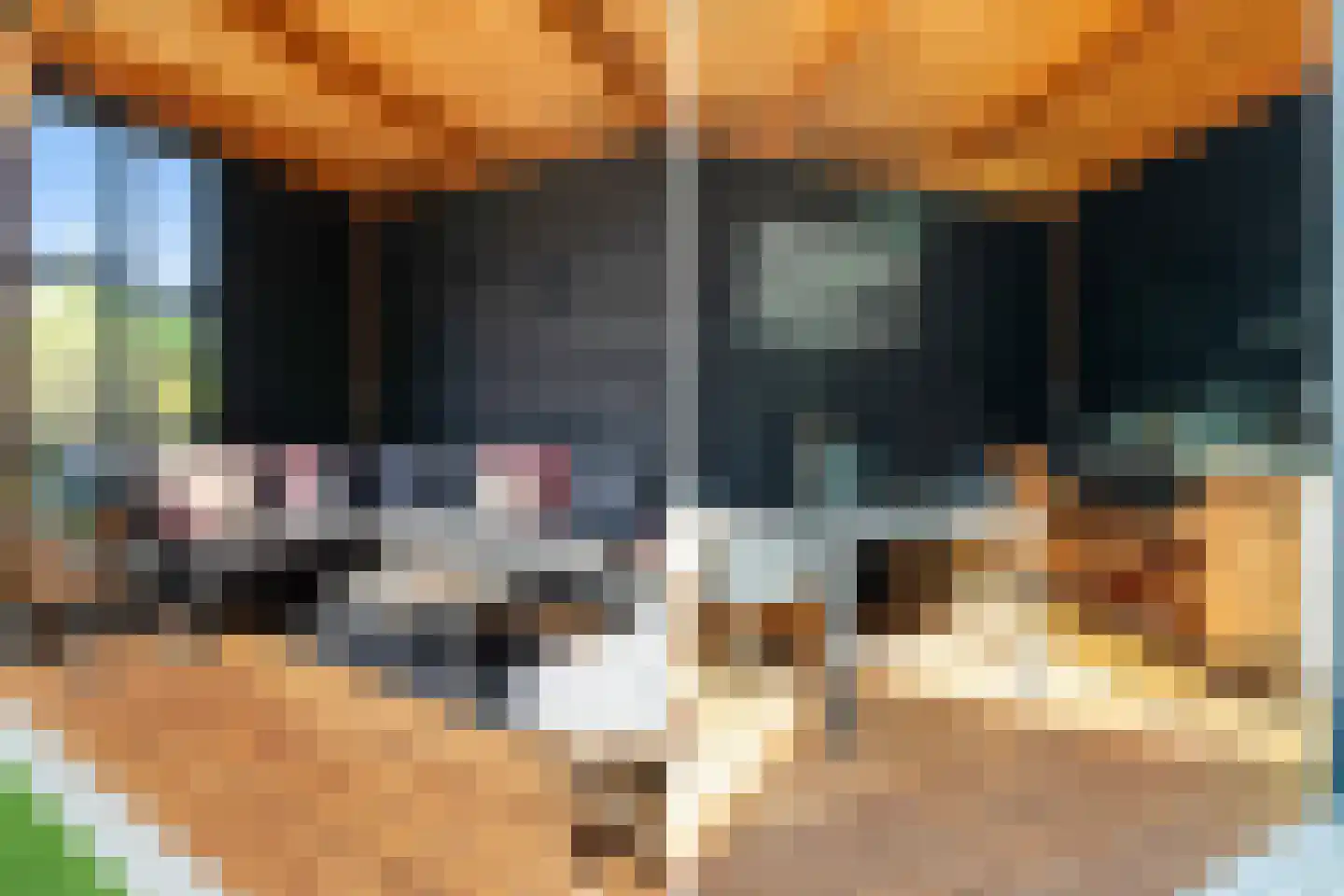 Leen Zwinkelshof 2 Wateringen thumbnail 48