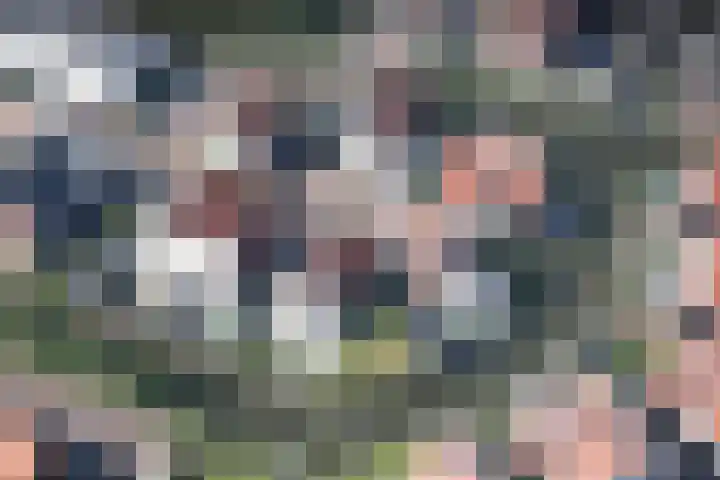 Leen Zwinkelshof 2 Wateringen thumbnail 5
