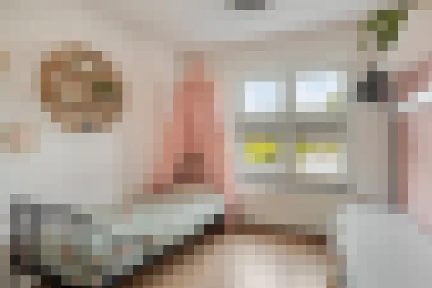 Leenakker 18 Swalmen thumbnail 19