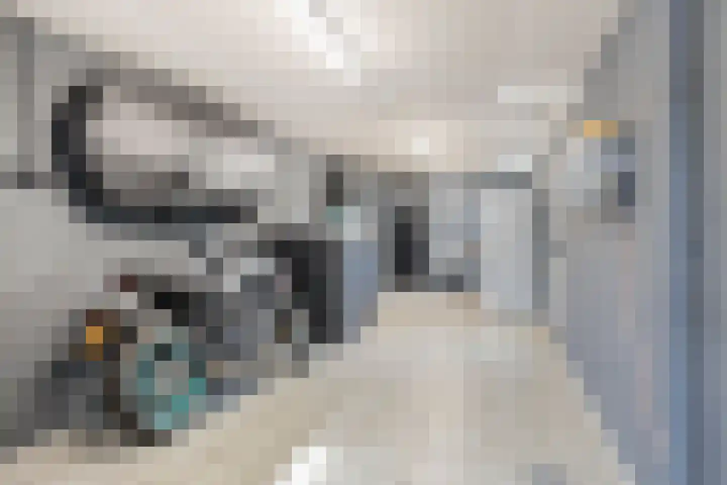 Leenakker 18 Swalmen thumbnail 25