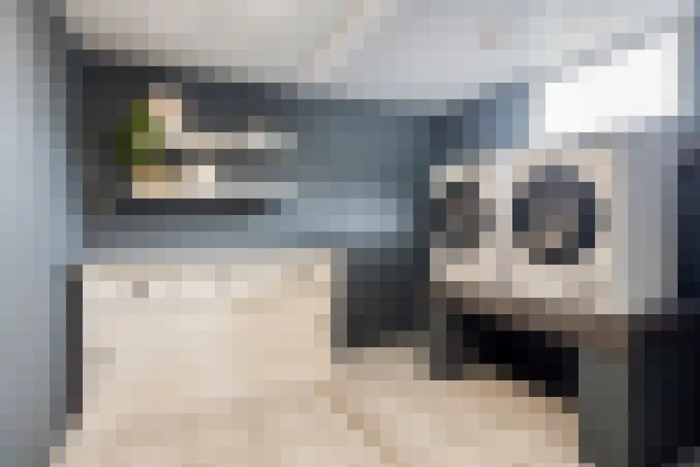 Leenakker 18 Swalmen thumbnail 26
