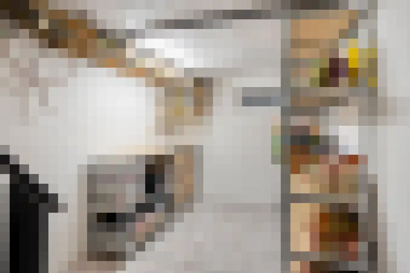 Leenakker 18 Swalmen thumbnail 28