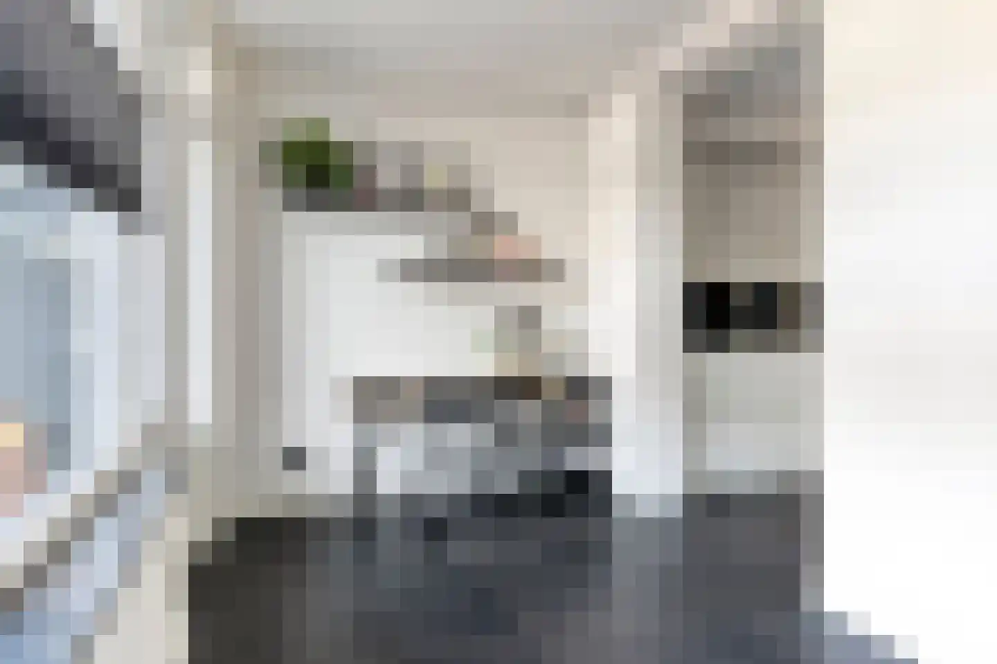 Leenakker 18 Swalmen thumbnail 9