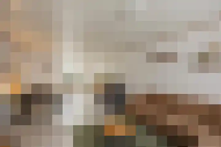 Leenakker 2 Swalmen thumbnail 14