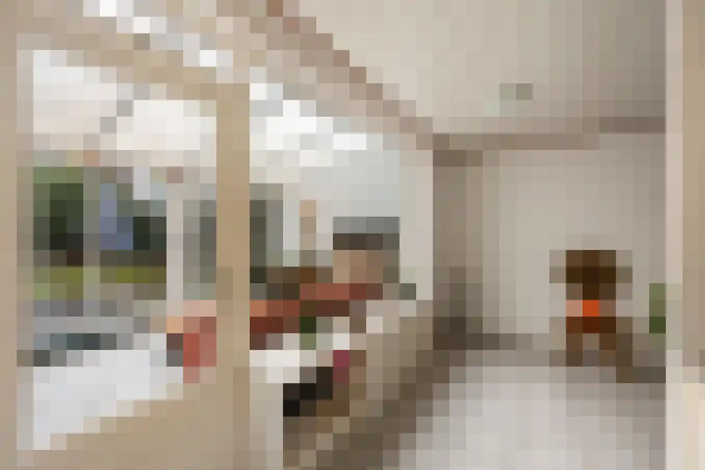 Leenakker 2 Swalmen thumbnail 19