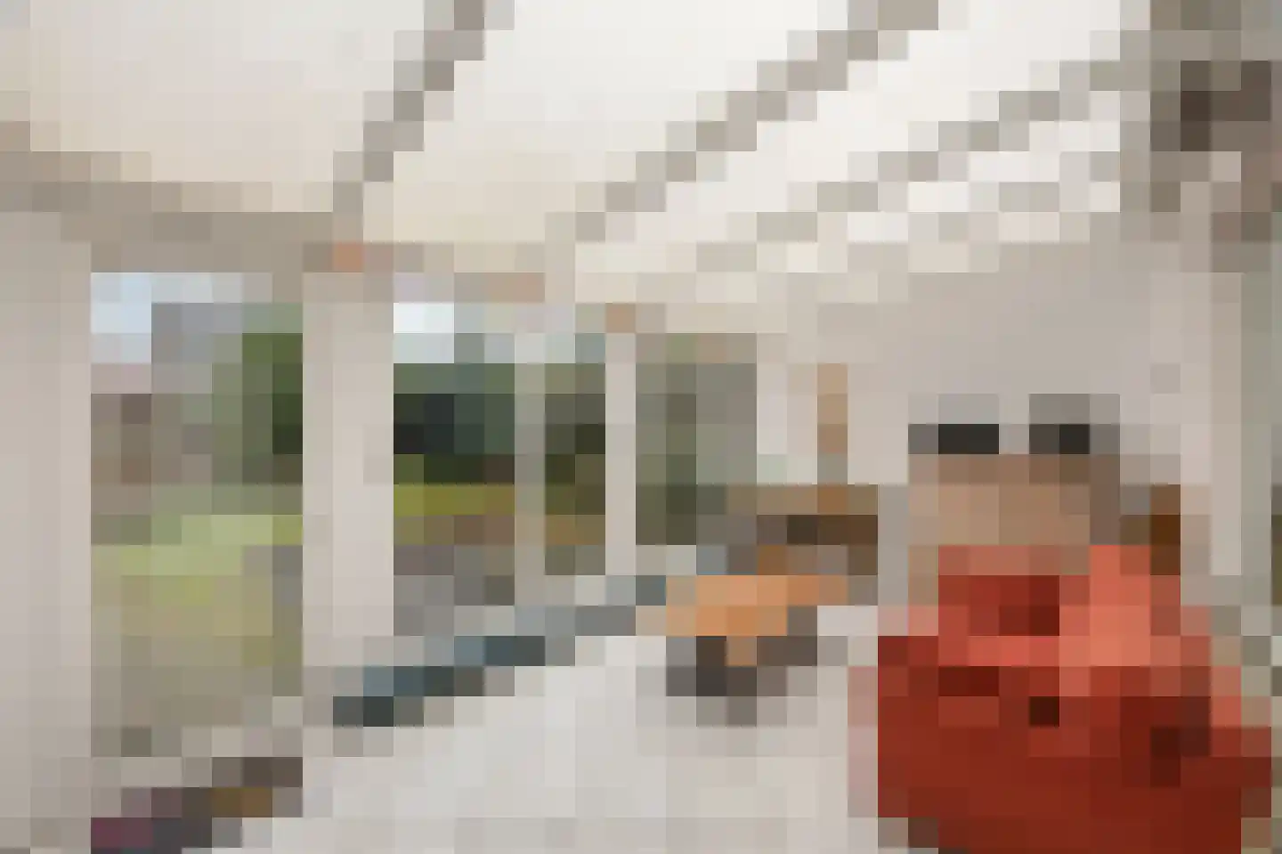 Leenakker 2 Swalmen thumbnail 20