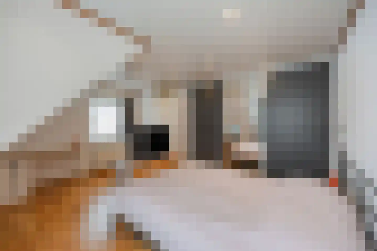 Leenakker 2 Swalmen thumbnail 23